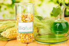 Succoth biofuel availability