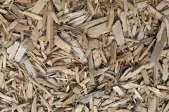 biomass boilers Succoth